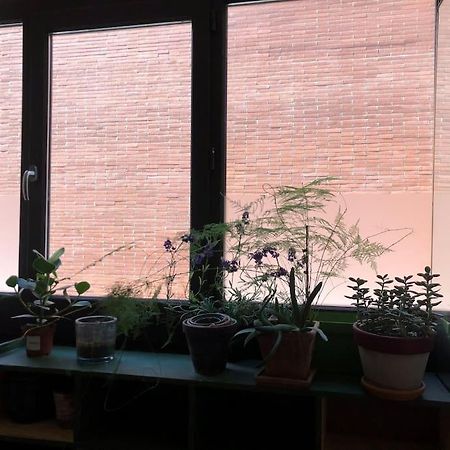 Logement De Charme Aux Carmes Toulouse Luaran gambar